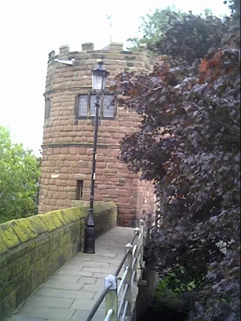 The 1645 Battle of Rowton Heath: King Charles I's View from Chester's Walls